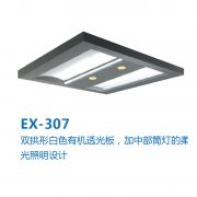 吊顶EX-307